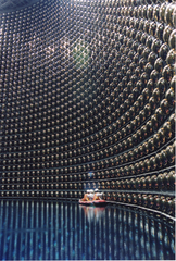 Eine der 11.200 Photomultiplier Tubes (Fotoelelektronenverviel-facher-Röhre) die den Super Kamiokande Detektor säumen  und das Licht, in Neutrinos umge-wandelt, nahe Lichtgeschwindig-keit durch das Wasser leiten.